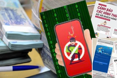 Ảnh minh họa. (Nguồn: Báo điện tử Chính phủ)