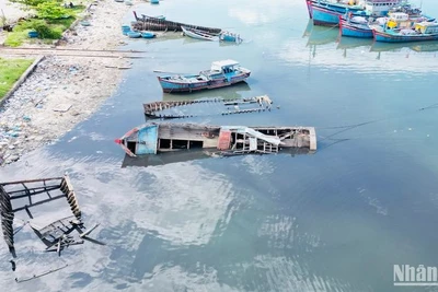 Cảng Sa Huỳnh có khoảng 26 xác tàu, tàu nằm bờ hư hỏng ngổn ngang.