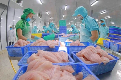 Chế biến cá tra xuất khẩu.