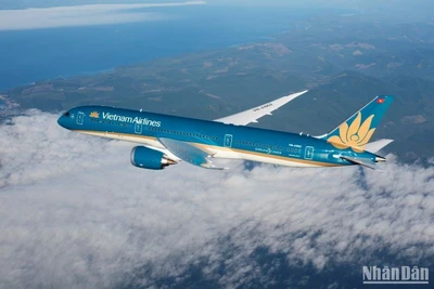 Trong quý III/2023, Vietnam Airlines Group khai thác gần 40 nghìn chuyến bay, vận chuyển hơn 6,5 triệu lượt khách, trong đó 1,8 triệu lượt khách quốc tế, tăng gấp hai lần so với cùng kỳ năm 2022.