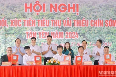 Đại diện Central Retail (ngoài cùng bên trái) ký kết hợp đồng ghi nhớ tiêu thụ vải thiều chín sớm Tân Yên năm 2024 với các Hợp tác xã cung cấp vải thiều của tỉnh Bắc Giang.