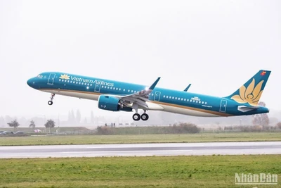 Hoạt động kinh doanh quý cuối năm 2023 của Vietnam Airlines diễn biến tốt hơn khiến bức tranh tài chính cả năm chuyển dần gam màu sáng.