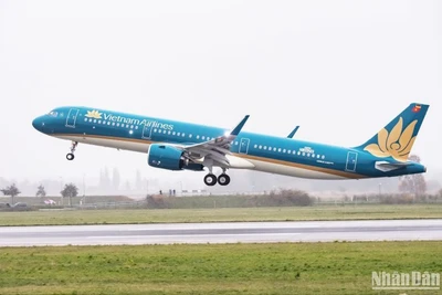 Vietnam Airlines tăng gần 550 chuyến bay dịp Tết Nguyên đán 
