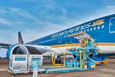 Hàng hoá đang được chất xếp lên tàu bay Vietnam Airlines.