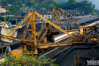 Sàng tuyển, chế biến than phục vụ công tác tiêu thụ.