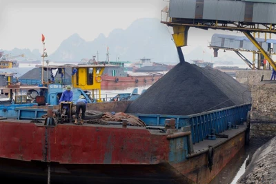 Bốc rót than cho các đơn vị tiêu thụ trong nước.