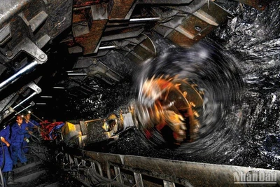 Năm 2023, TKV có hơn 9.000 thợ lò thu nhập hơn 300 triệu đồng/năm, chiếm 38% tổng số thợ lò, tăng 30% so với năm 2022, nhiều lao động đạt ngưỡng 600 triệu đồng/năm.