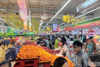 Người tiêu dùng mua sắm tại siêu thị GO!, Big C.