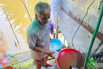 Nước múc lên từ ao, đìa được người dân ấp 12 (xã Khánh Thuận) xử lý lại bằng cục phèn chua (cầm trên tay).