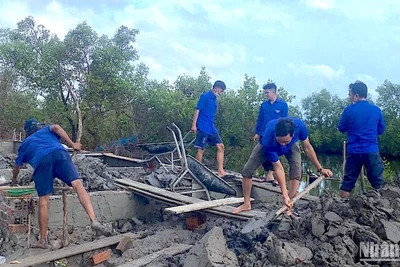 Đoàn thanh niên Cà Mau hỗ trợ ngày công lao động giúp chủ hộ đắp đất nền nhà, tiết kiệm xây dựng nhà mới.