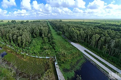 Vườn Quốc gia U Minh hạ có hơn 8.500ha rừng tràm được bảo vệ nghiêm ngặt nhưng hiện đã có hơn 4.800ha cảnh báo cháy cấp 5.