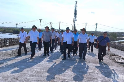 Đoàn công tác của Bí thư Tỉnh ủy và Chủ tịch Ủy ban nhân dân tỉnh Cà Mau kiểm tra tiến độ xây dựng cầu Gành Hào vào chiều 17/3. 