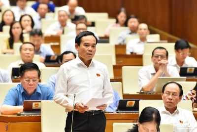 Phó Thủ tướng Chính phủ Trần Lưu Quang phát biểu tại phiên chất vấn sáng 7/6. (Ảnh: THỦY NGUYÊN) 