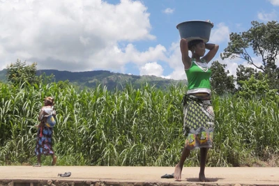 Ảnh minh họa. (Ảnh: WMO/Cornel Vermaak)