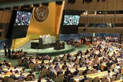 Khoảnh khắc công bố kết quả bầu cử Ủy viên không thường trực Hội đồng Bảo an Liên hợp quốc nhiệm kỳ 2020-2021 đối với đoàn Việt Nam. (Ảnh tư liệu: TTXVN)