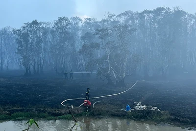 Lực lượng chức năng tích cực chữa cháy rừng tại Vườn quốc gia Tràm Chim