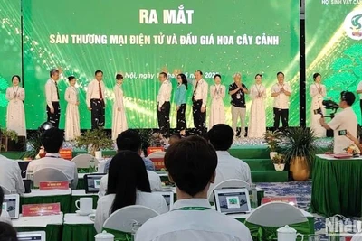 Các đại biểu bấm nút khai trương sàn thương mại điện tử và đấu giá hoa, cây cảnh.
