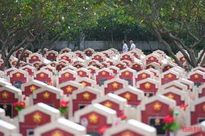 (Ảnh: THÀNH ĐẠT)