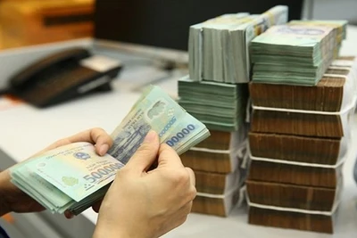 [Video] Gia hạn nộp thuế, tiền thuê đất cho doanh nghiệp và người dân năm 2025