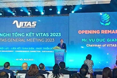 Chủ tịch Vitas Vũ Đức Giang phát biểu khai mạc hội nghị