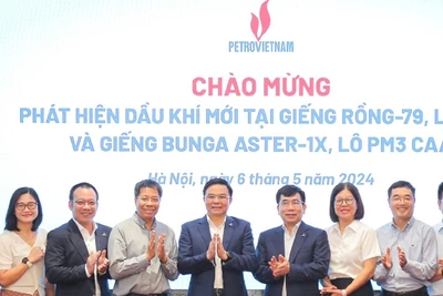 PVN công bố 2 phát hiện dầu khí mới tại mỏ Rồng và mỏ Bunga Aster.