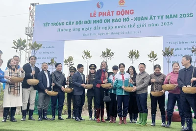 Lãnh đạo Bộ Tài nguyên và Môi trường, Tỉnh ủy, UBND tỉnh Thái Bình trao cây giống cho các đơn vị trên địa bàn tại lễ phát động Tết trồng cây xuân Ất Tỵ năm 2025 và hưởng ứng Ngày Đất ngập nước thế giới năm 2025. (Ảnh KHÁNH HUY)