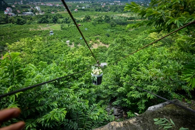 Na “Chi Lăng” - Quả ngọt trên vùng núi đá vôi miền biên viễn