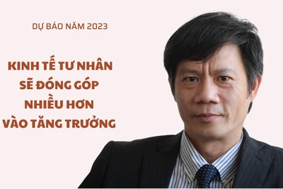 Tiến sĩ Lê Duy Bình, chuyên gia kinh tế, Giám đốc điều hành Economica Việt Nam.