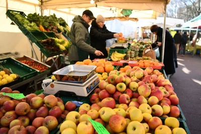 Ảnh minh họa. Nguồn: Reuters