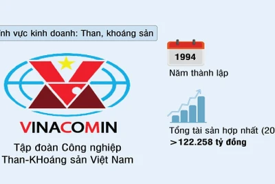 Tập đoàn Công nghiệp Than-Khoáng sản Việt Nam (TKV)