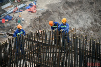 Ảnh minh họa: THÀNH ĐẠT