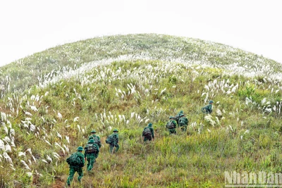 Ảnh minh họa: Thành Đạt