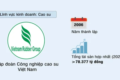 Tập đoàn Công nghiệp Cao su Việt Nam (VRG)