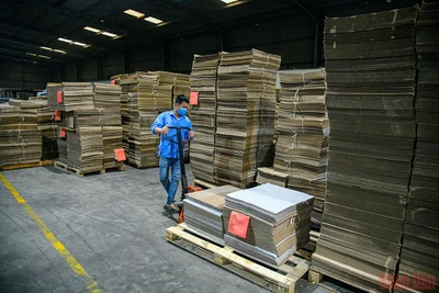 Ảnh minh họa: THÀNH ĐẠT