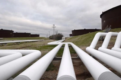 Ảnh minh họa: TTXVN