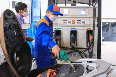 (Ảnh: Thành Đạt)