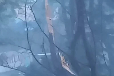 Bão số 3 đang đổ bộ vào Bạch Long Vĩ.