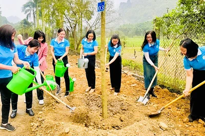 Phụ nữ thành phố Hải Phòng tổ chức trồng cây.