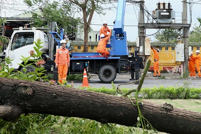 Công ty Điện lực Hải Phòng tập trung khôi phục trạm biến áp và lưới điện hư hại để sớm cấp điện trở lại.
