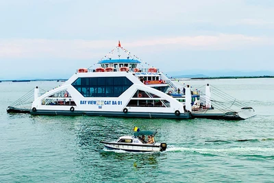 Từ 11 giờ ngày 6/9, Hải Phòng sẽ đình chỉ các hoạt động giao thông vận tải đường thủy nội địa, phà sông, phà biển, các hoạt động vui chơi trên biển.