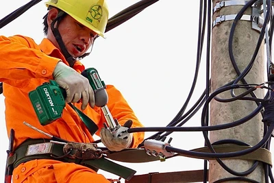 Trong nắng nóng, công nhân Điện lực Hải Phòng vẫn tập trung nâng cấp, khắc phục sự cố lưới điện bảo đảm cung cấp điện ổn định, an toàn cho người dân, doanh nghiệp.