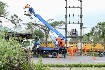 Các công nhân ngành điện Hải Phòng khẩn trương khôi phục lưới điện sau bão số 3.