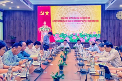 Quang cảnh buổi làm việc.