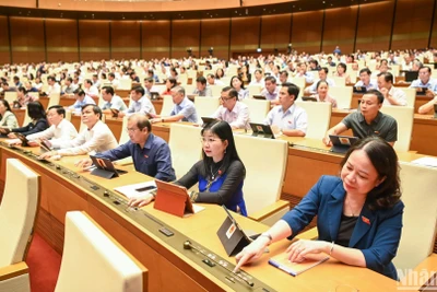 Đại biểu Quốc hội biểu quyết thông qua Luật Đường bộ. (Ảnh: DUY LINH)