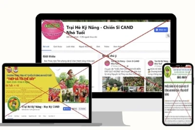 Một số trang giả mạo.