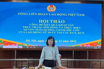 Trưởng ban Nữ công Tổng Liên đoàn Đỗ Hồng Vân phát biểu khai mạc.