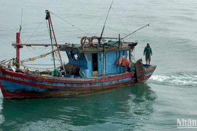 Tàu cá QB-11670 TS có hành vi khai thác hải sản không đúng vùng quy định.