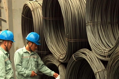 (Ảnh minh họa: Tuấn Anh/TTXVN)