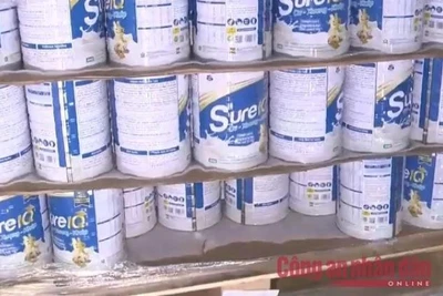 Hàng nghìn hộp sữa bột giả mang nhãn hiệu Sure IQ bị cơ quan Công an thu giữ. (Nguồn: Báo Công an nhân dân)