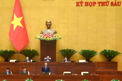 Đề xuất xử phạt hành vi trúng đấu giá nhưng không mua tài sản